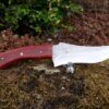 Couteau fixe cocobollo – Image 3