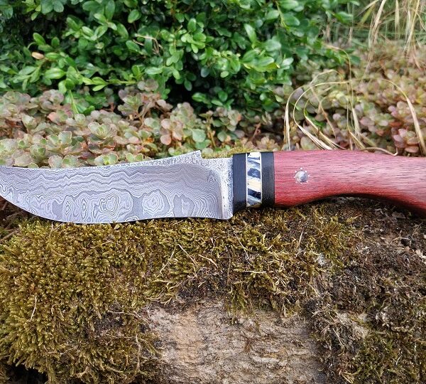 Le primitif  bushcraft