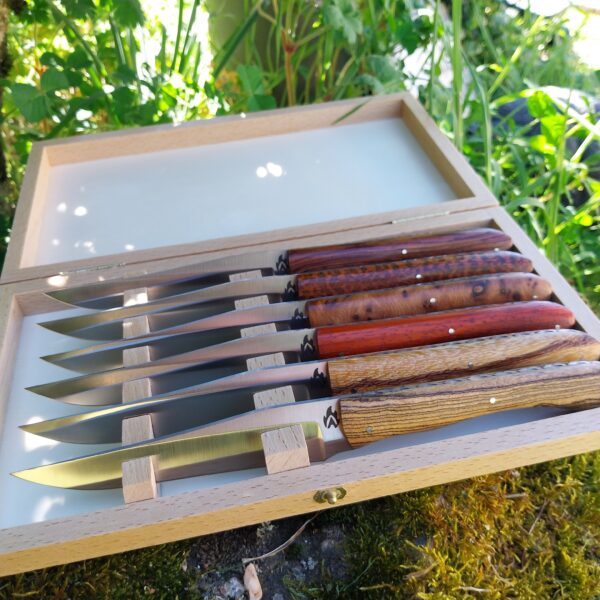 Coffret de 6 couteaux de table en bois exotique
