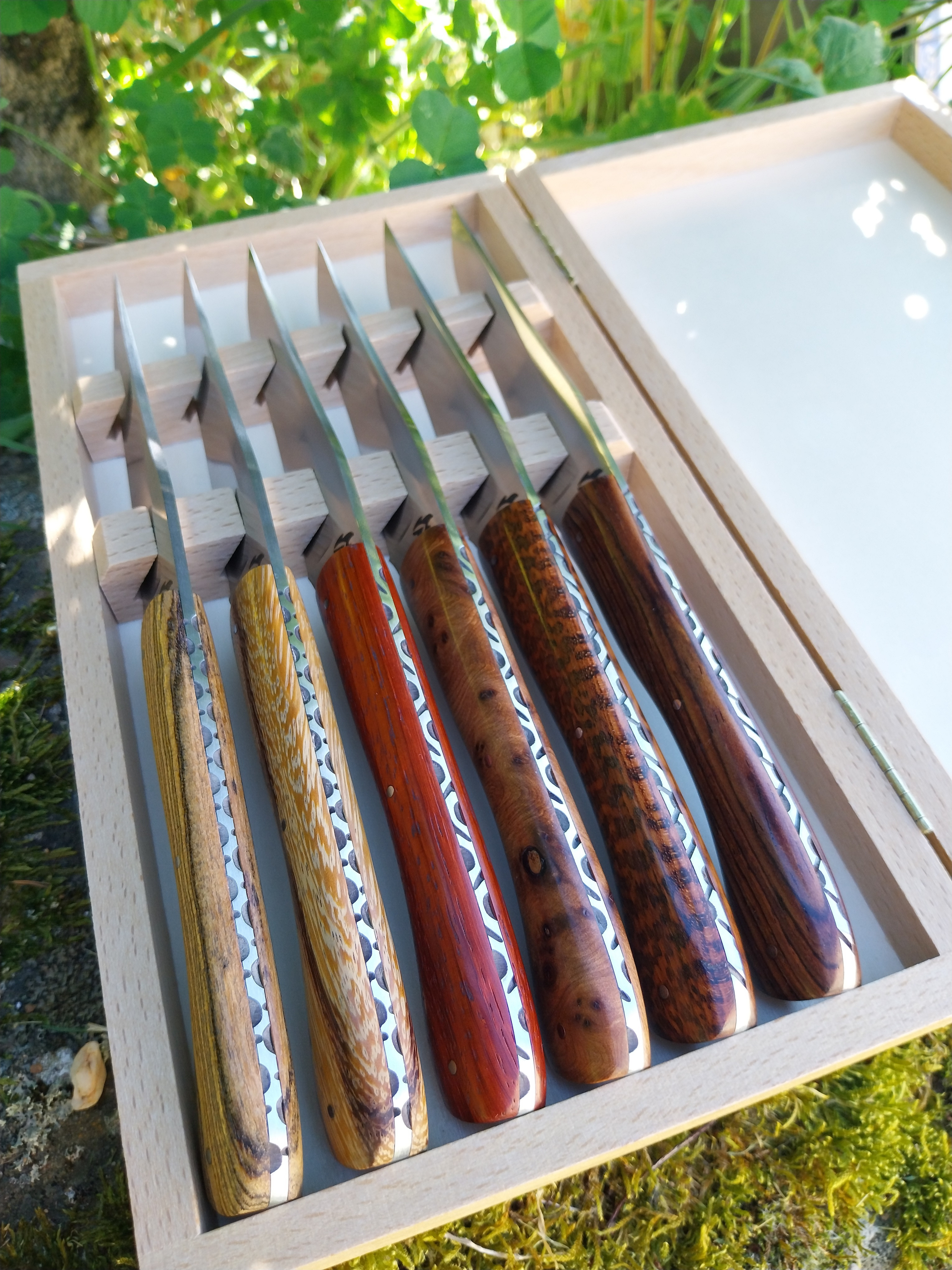 Coffret de 6 couteaux de table en bois exotique – Image 2