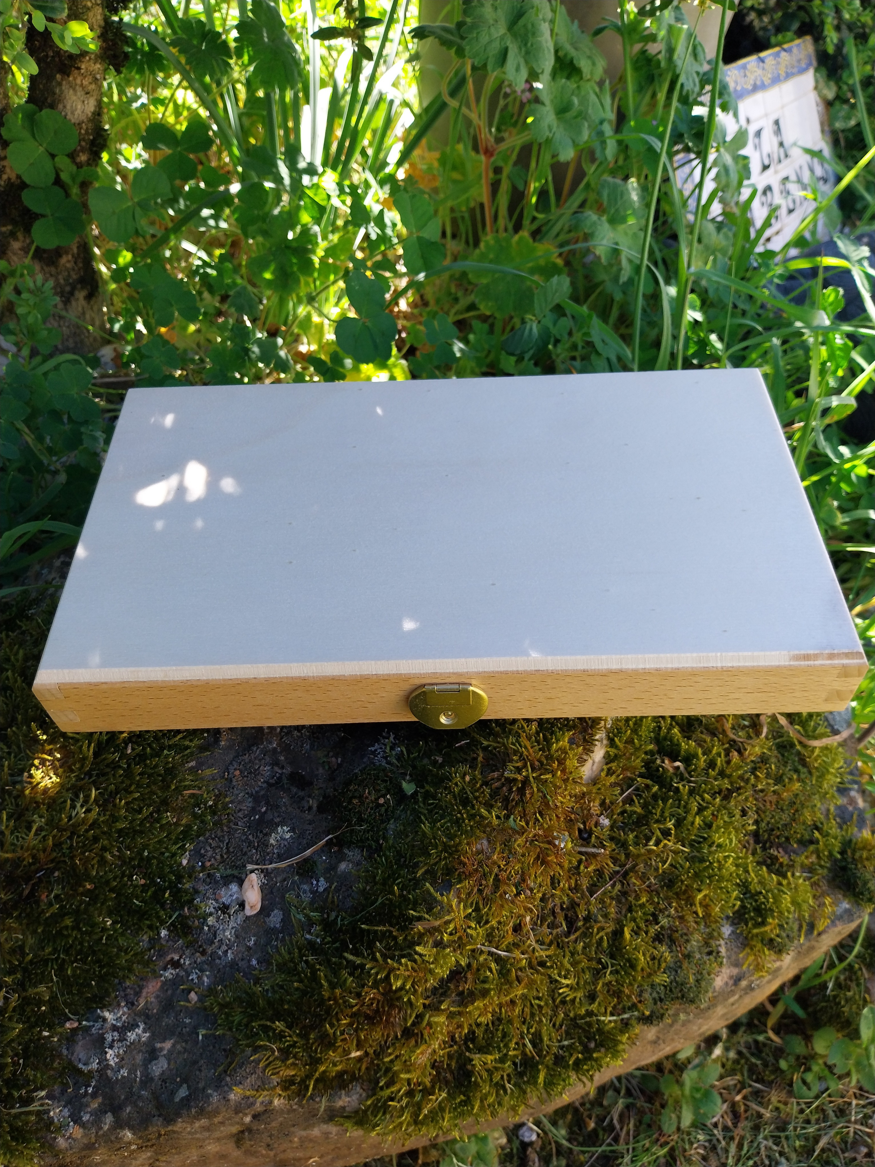 Coffret de 6 couteaux de table en bois exotique – Image 3