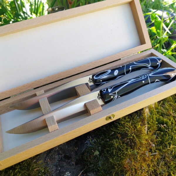 Coffret duo couteaux de table en résine